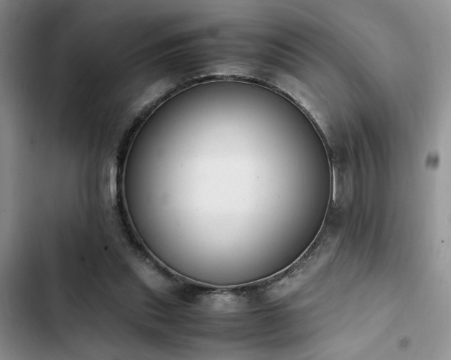 X0000102860253200808181448