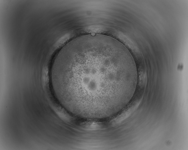 X0000102860254200808181448