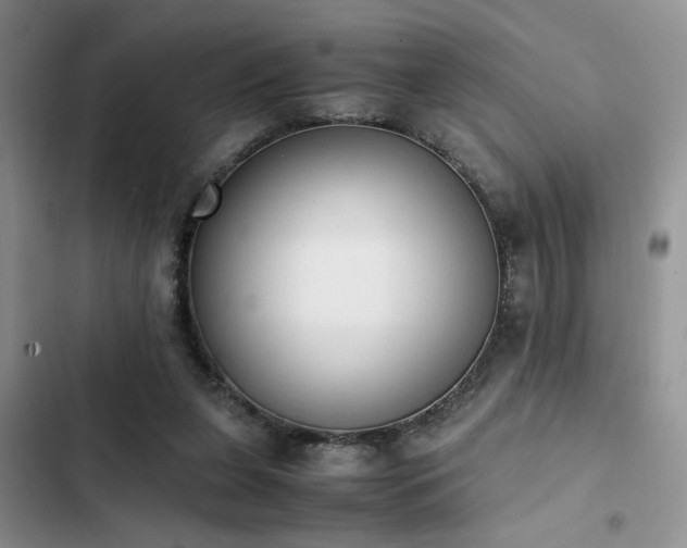 X0000102860255200808181448