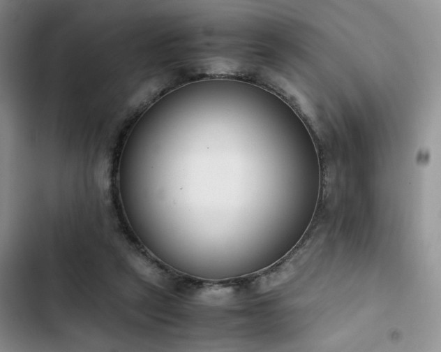 X0000102860257200808181448