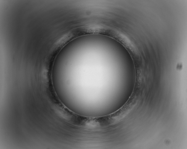 X0000102860258200808181448