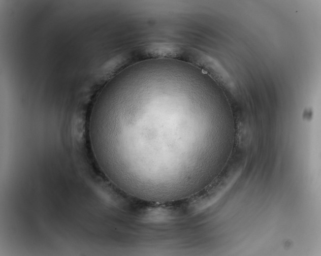 X0000102860259200808181448