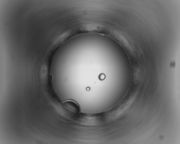 X0000102860260200808181448