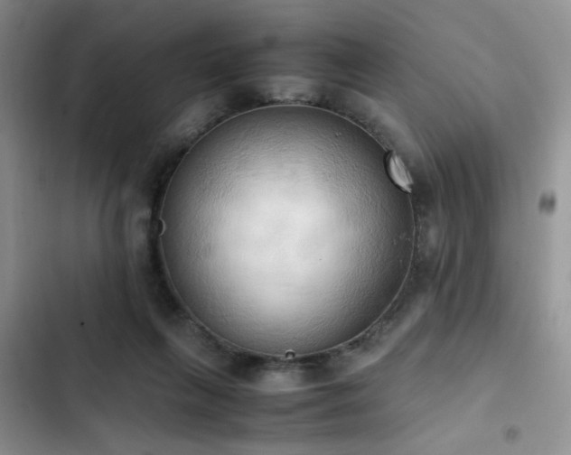 X0000102860263200808181448