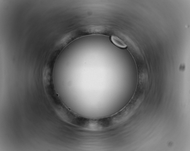 X0000102860264200808181449