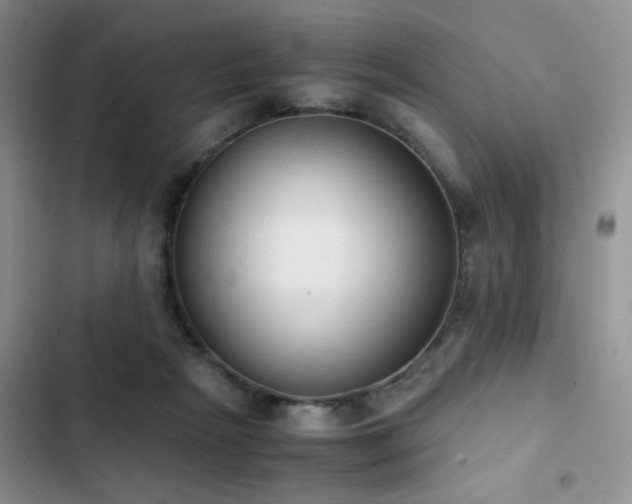 X0000102860265200808181449