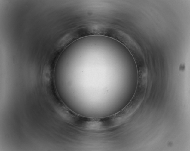 X0000102860266200808181449