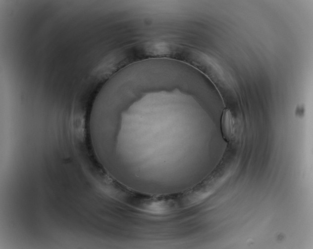 X0000102860267200808181449