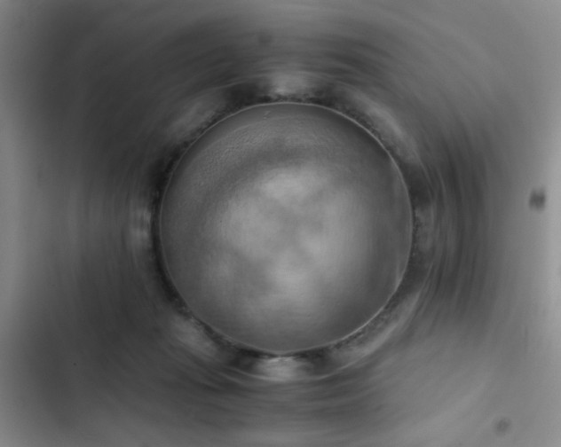 X0000102860269200808181449