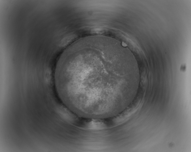 X0000102860270200808181449