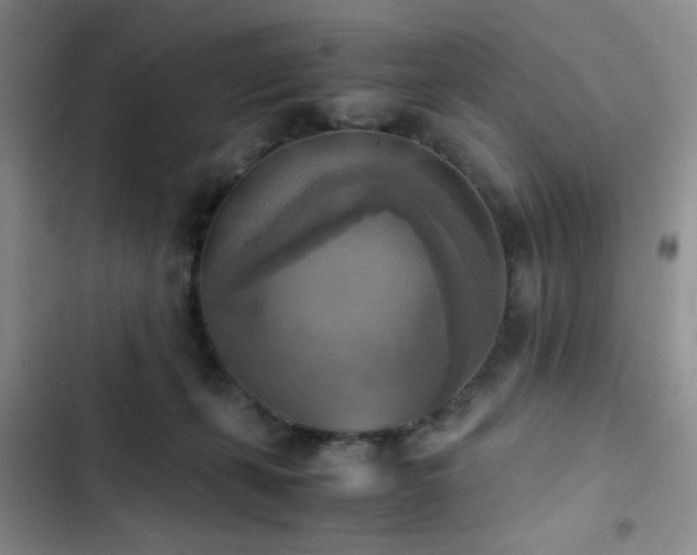 X0000102860271200808181449