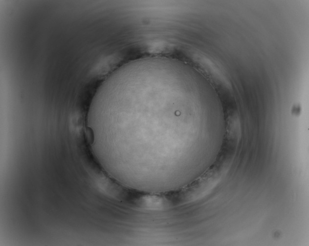 X0000102860272200808181449