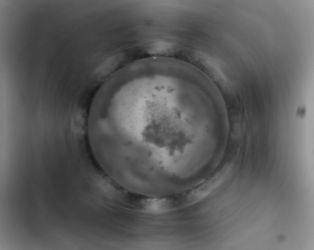 X0000102860273200808181449