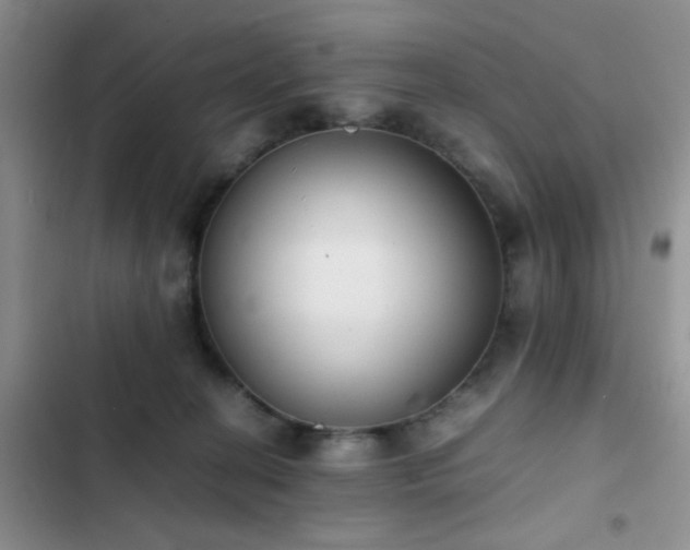 X0000102860274200808181449