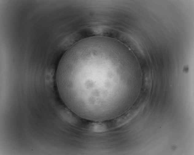 X0000102860275200808181449