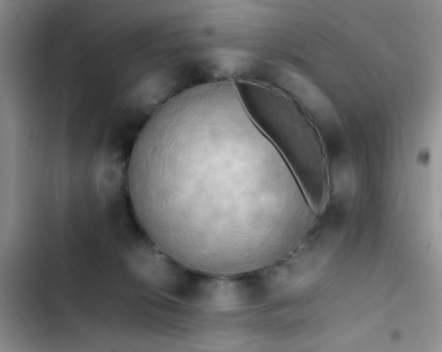 X0000102860276200808181449