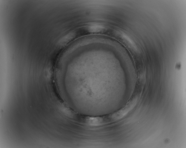 X0000102860277200808181449