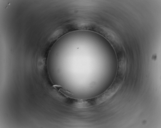 X0000102860278200808181449