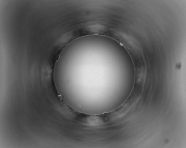 X0000102860279200808181449