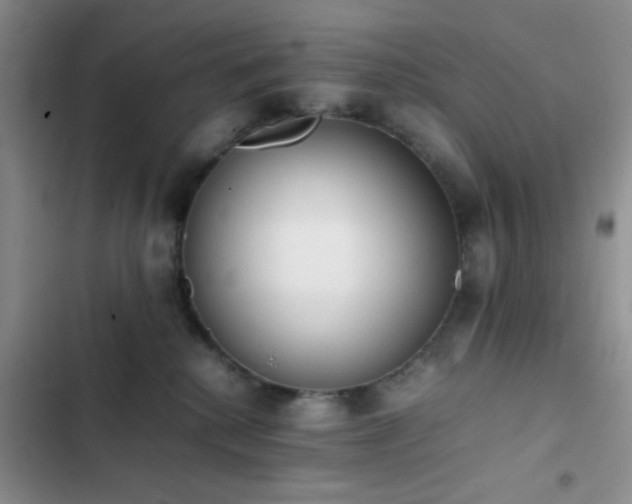 X0000102860280200808181449