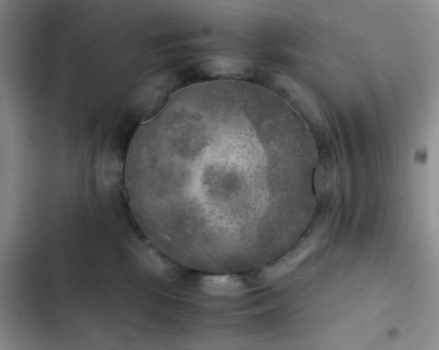 X0000102860281200808181449