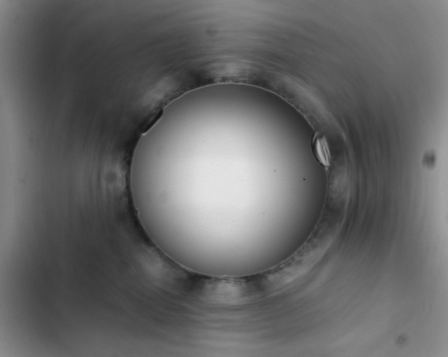 X0000102860282200808181449