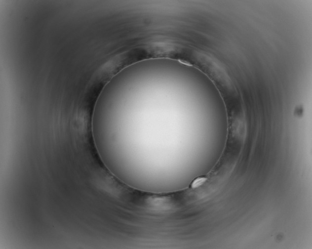 X0000102860283200808181449