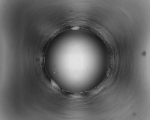 X0000102860284200808181449