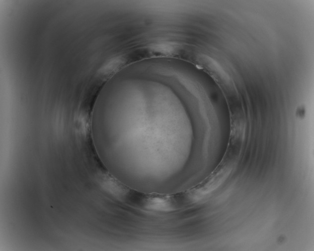 X0000102860285200808181449