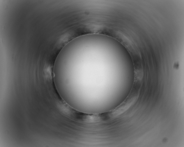 X0000102860286200808181449