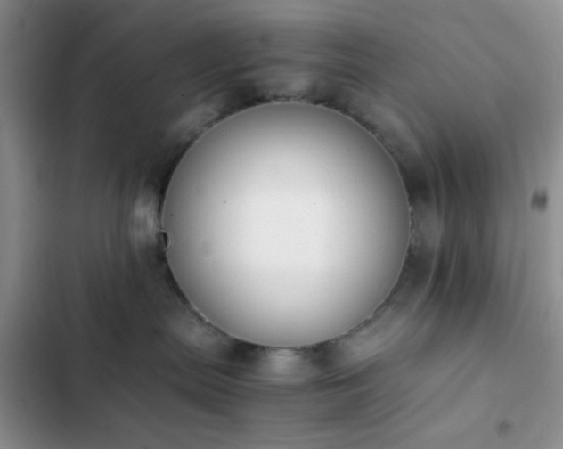 X0000102860287200808181449