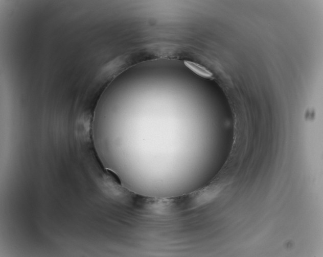 X0000102860288200808181449