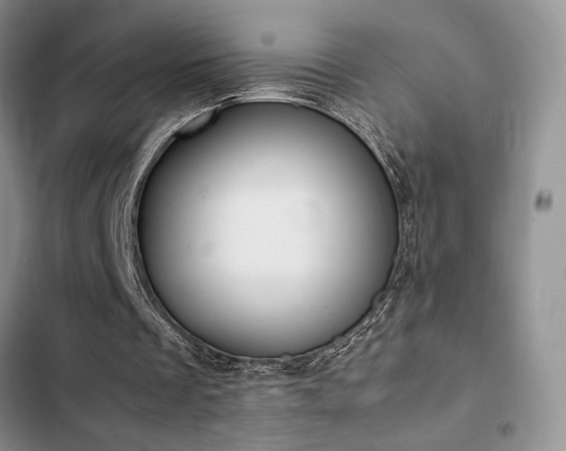 X0000102860289200808181448