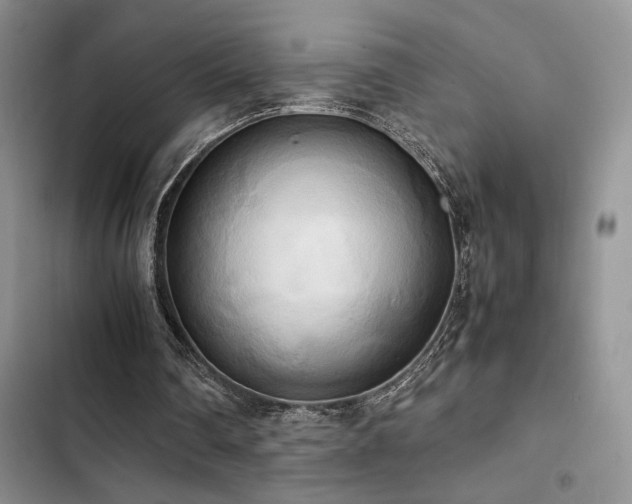 X0000102860290200808181448