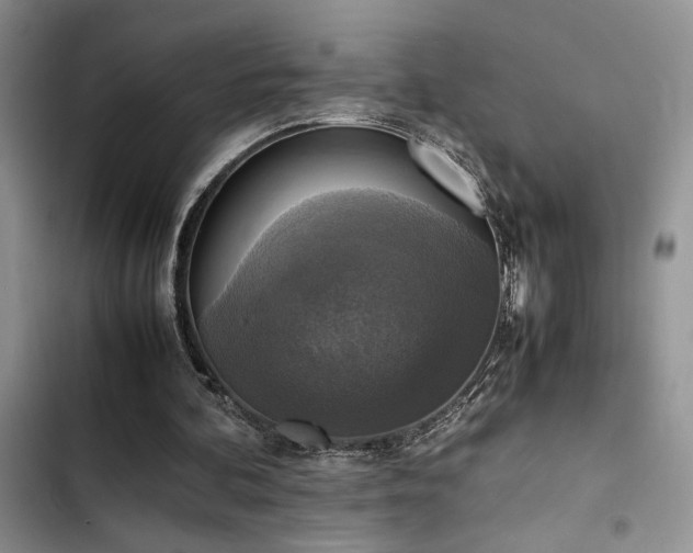 X0000102860292200808181448