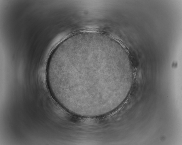 X0000102860293200808181448