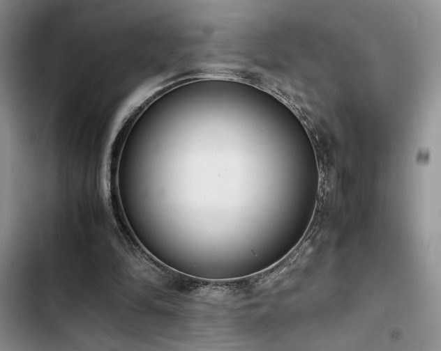 X0000102860294200808181448