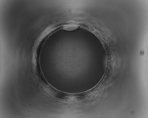 X0000102860295200808181448