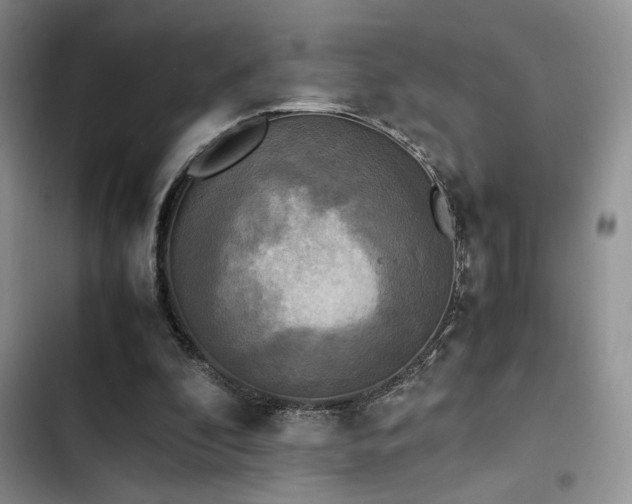 X0000102860296200808181448