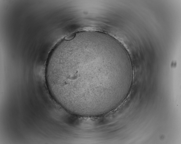 X0000102860297200808181448