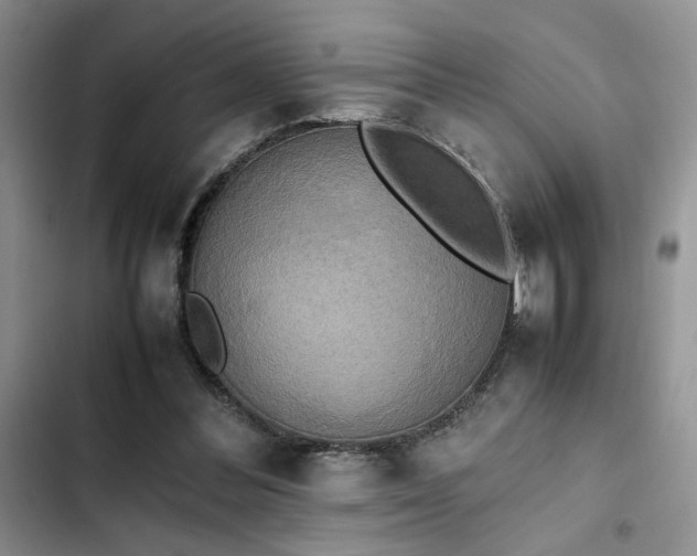 X0000102860300200808181448