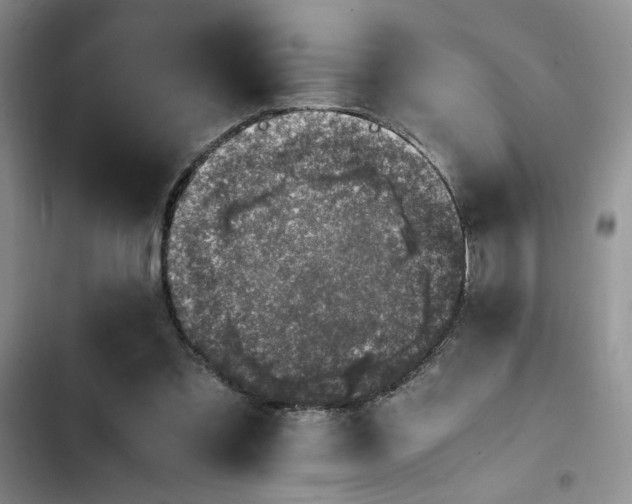 X0000102860301200808181448