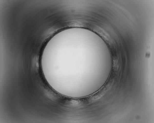 X0000102860302200808181448