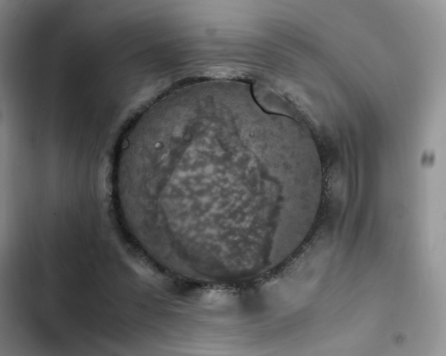 X0000102860303200808181448