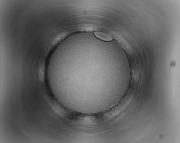 X0000102860304200808181448