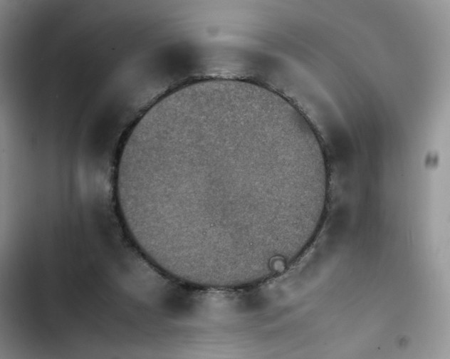 X0000102860305200808181448