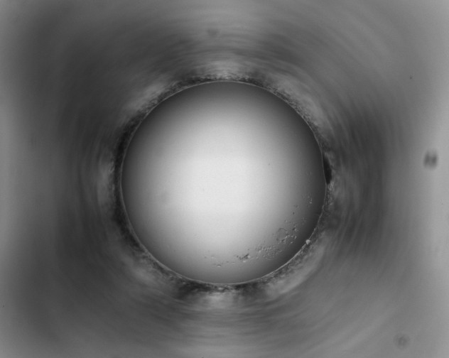 X0000102860306200808181448