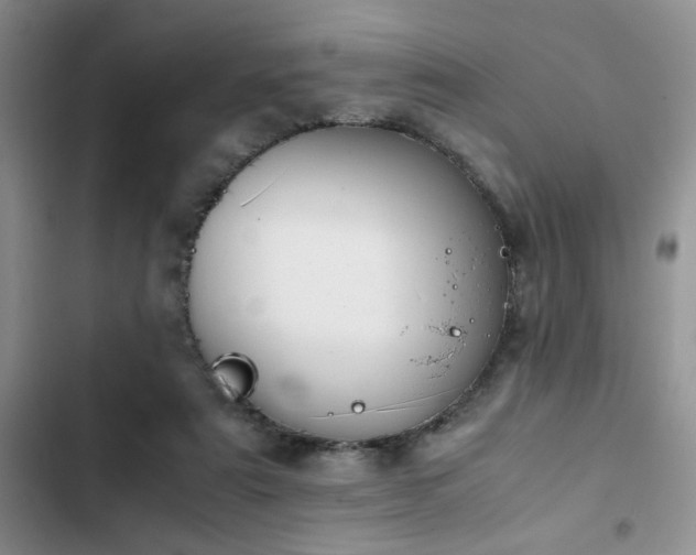 X0000102860307200808181448