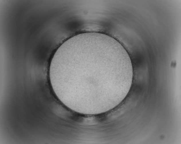 X0000102860309200808181448