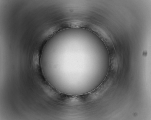 X0000102860310200808181448